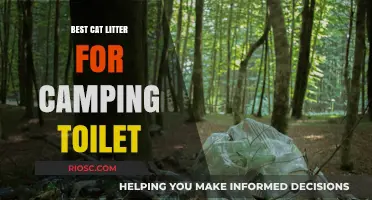 Eco-Friendly Camping Cat Litter: Top Picks for Portable Toilets