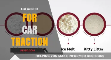 Purr-fect Grip: Top Cat Litter Alternatives for Safe Car Traction in Winter