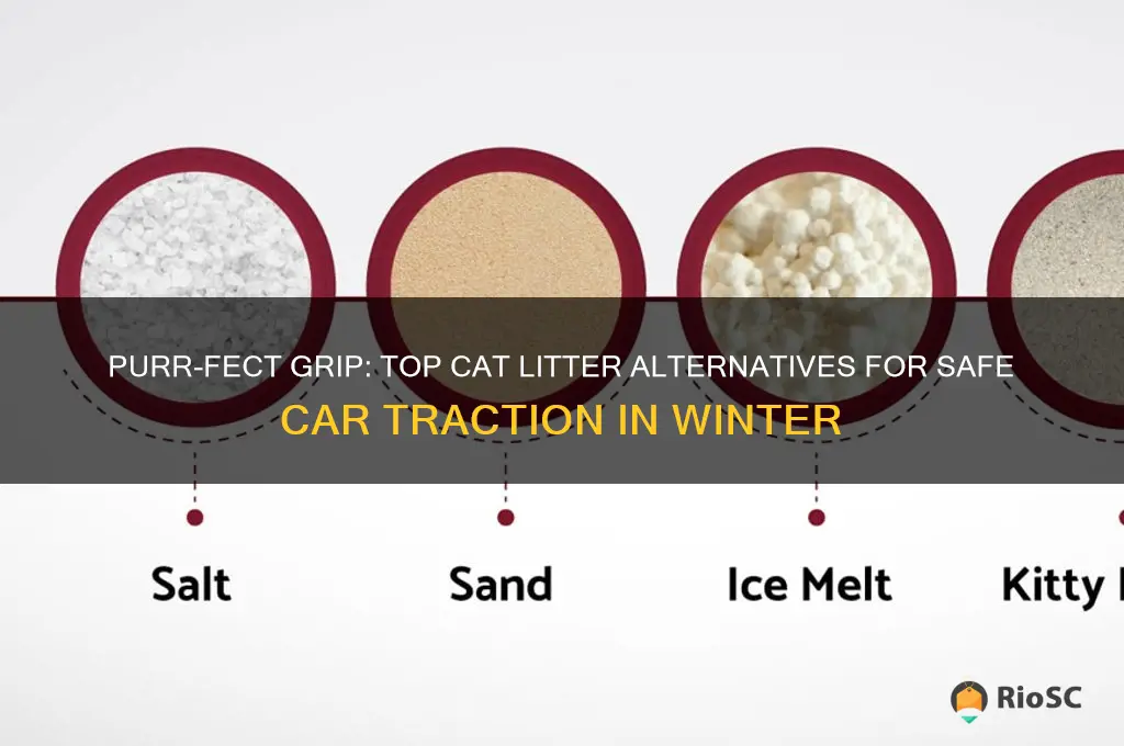 best cat litter for car traction