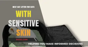 Gentle Paws: Top Cat Litter Choices for Cats with Sensitive Skin
