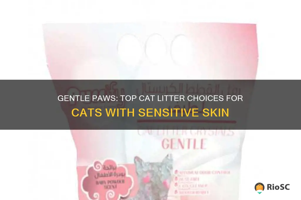 best cat litter for cats with sensitive skin