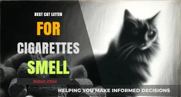 Eliminate Cigarette Smell with These Top Cat Litter Picks for a Fresher Home