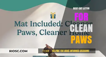 Keep Paws Spotless: Top Cat Litter Picks for Clean and Happy Cats