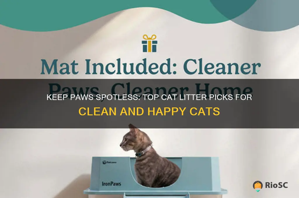 best cat litter for clean paws