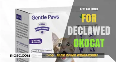 Gentle Paws: Top Okocat Litter Choices for Declawed Cats