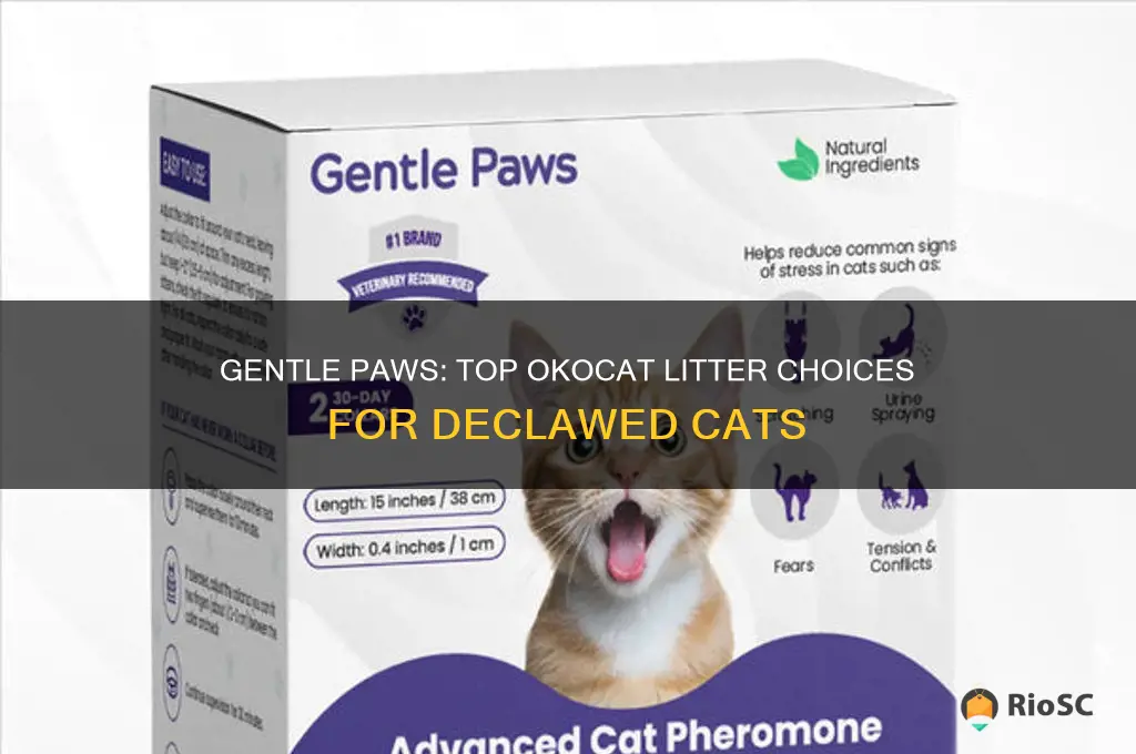 best cat litter for declawed okocat