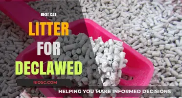 Gentle Paws: Top Cat Litter Choices for Declawed Cats