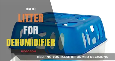 Effective Cat Litter Solutions to Enhance Dehumidifier Performance