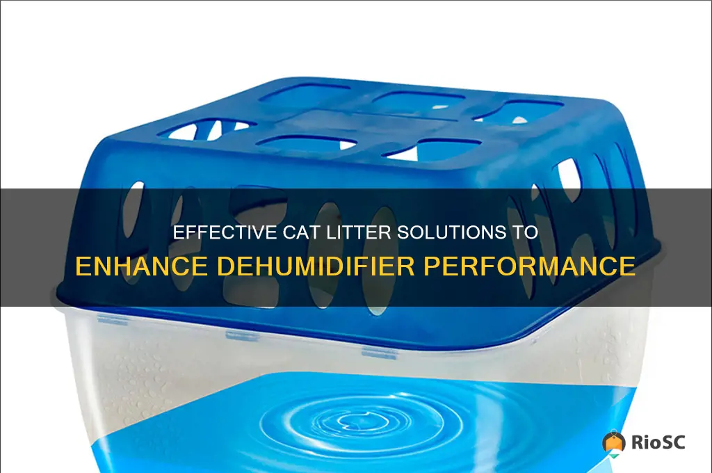 best cat litter for dehumidifier