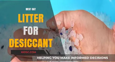 Top Desiccant-Based Cat Litter Options for Superior Moisture Absorption and Odor Control