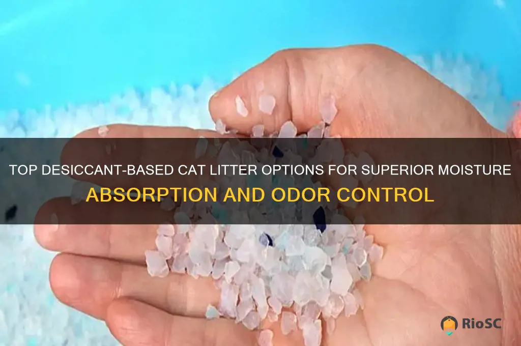 best cat litter for desiccant