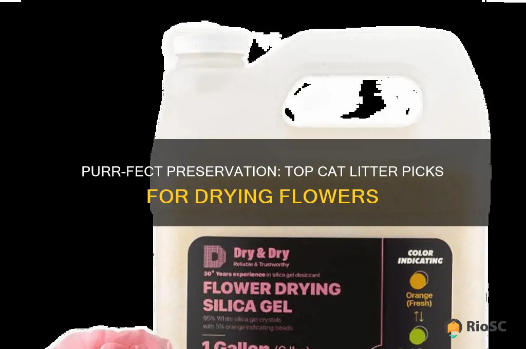 best cat litter for drying flowers