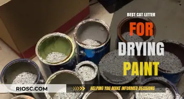 Eco-Friendly Cat Litter: The Unexpected Solution for Drying Paint Quickly and Safely