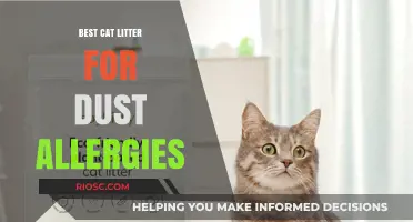 Breathe Easy: Top Cat Litter Options for Dust Allergy Sufferers