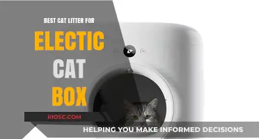Top Picks: Best Cat Litter for Electric Cat Boxes – Odor Control, Clumping, and Eco-Friendly Options