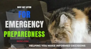 Emergency-Ready Cat Care: Top Cat Litter Choices for Disaster Preparedness