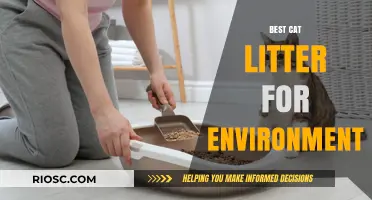 Eco-Friendly Feline Care: The Best Cat Litter Options for a Greener Environment