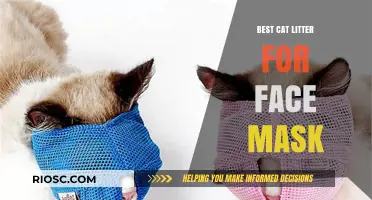 Purr-fectly Safe: Top Cat Litter Alternatives for DIY Face Masks