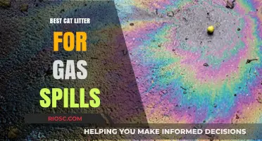 Effective Cat Litter Solutions for Managing Gas Spills: Top Picks for Quick Cleanup