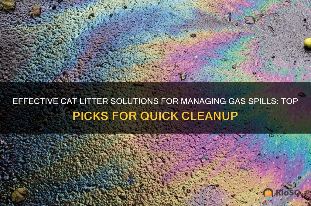 best cat litter for gas spills