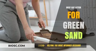 Eco-Friendly Feline Care: Discover the Best Cat Litter for Green Sand