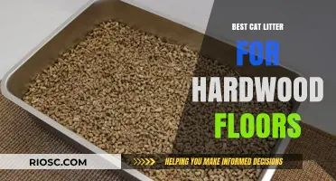 Protect Your Hardwood Floors: Top Cat Litter Options for Scratch-Free and Spill-Proof Cleaning