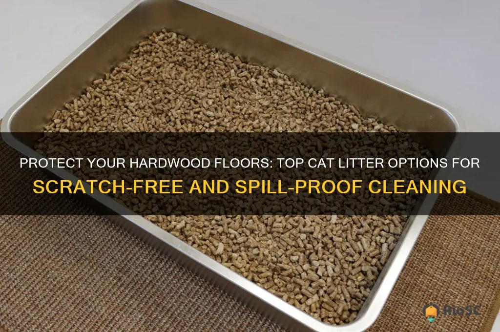 best cat litter for hardwood floors