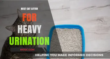 Top Cat Litter Solutions for Managing Heavy Urination: Keep Your Home Fresh and Clean