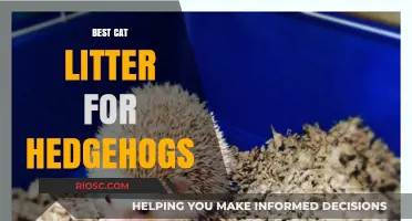Safe and Comfortable: The Best Cat Litter Options for Your Hedgehog Companion