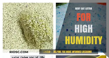 Top Cat Litter Solutions for High Humidity Environments: Stay Fresh and Odor-Free