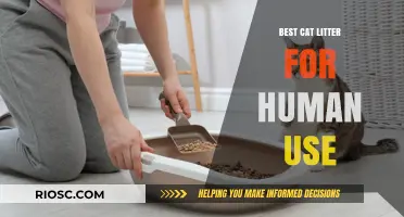Eco-Friendly and Safe: Top Cat Litter Options for Human Use in Emergency Situations