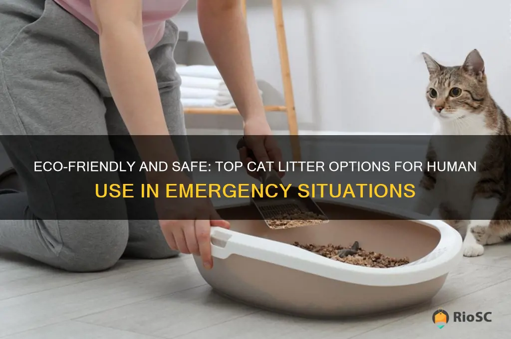 best cat litter for human use