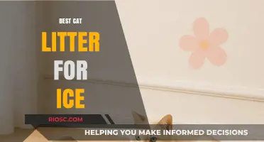 Top Cat Litter Options for Ice-Cold Climates: Keep Your Feline Friend Cozy and Clean