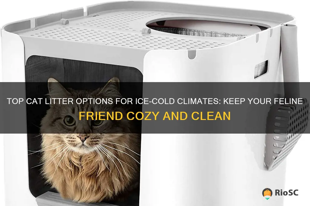 best cat litter for ice