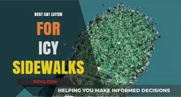 Eco-Friendly Cat Litter Solutions for Safe and Ice-Free Sidewalks