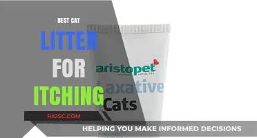Soothing Solutions: Top Cat Litter Options to Relieve Itching and Promote Comfort