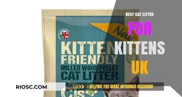 Top-Rated Kitten-Friendly Cat Litter Options in the UK: A Comprehensive Guide