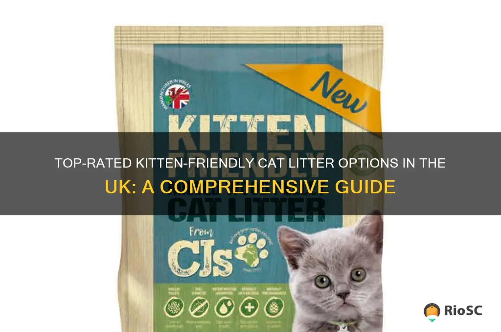 best cat litter for kittens uk