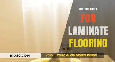 Protect Your Laminate Floors: Top Cat Litter Options for Mess-Free Maintenance