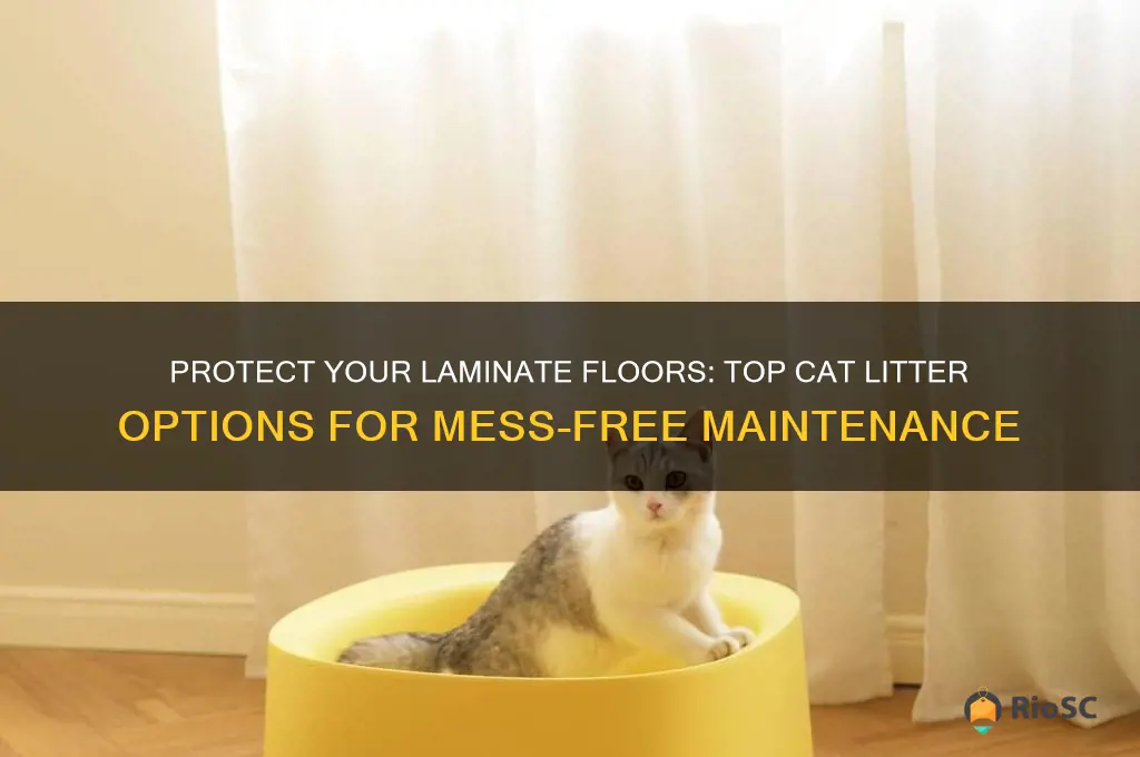 best cat litter for laminate flooring