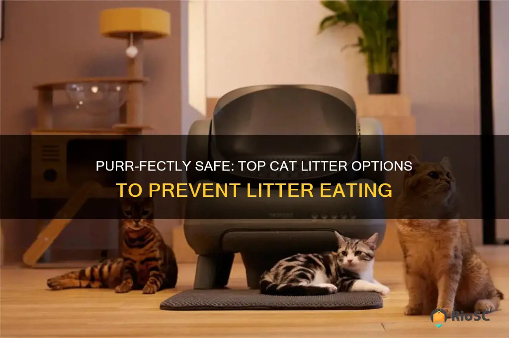 best cat litter for litter eating