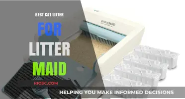 Top Cat Litter Picks for Litter-Maid: Keep Your Self-Cleaning Litter Box Fresh and Efficient