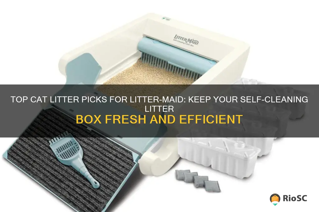 best cat litter for litter maid