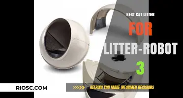 Top Cat Litter Picks for Optimal Performance in Your Litter-Robot 3