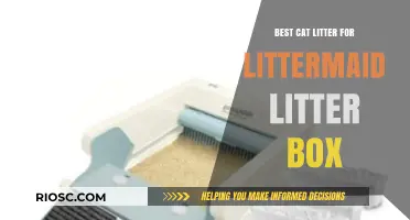 Top Cat Litter Picks for Your LitterMaid Litter Box: Keep Your Home Fresh and Clean