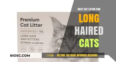 Top Cat Litter Picks for Long-Haired Cats: Keep Your Feline Friend Clean and Comfortable