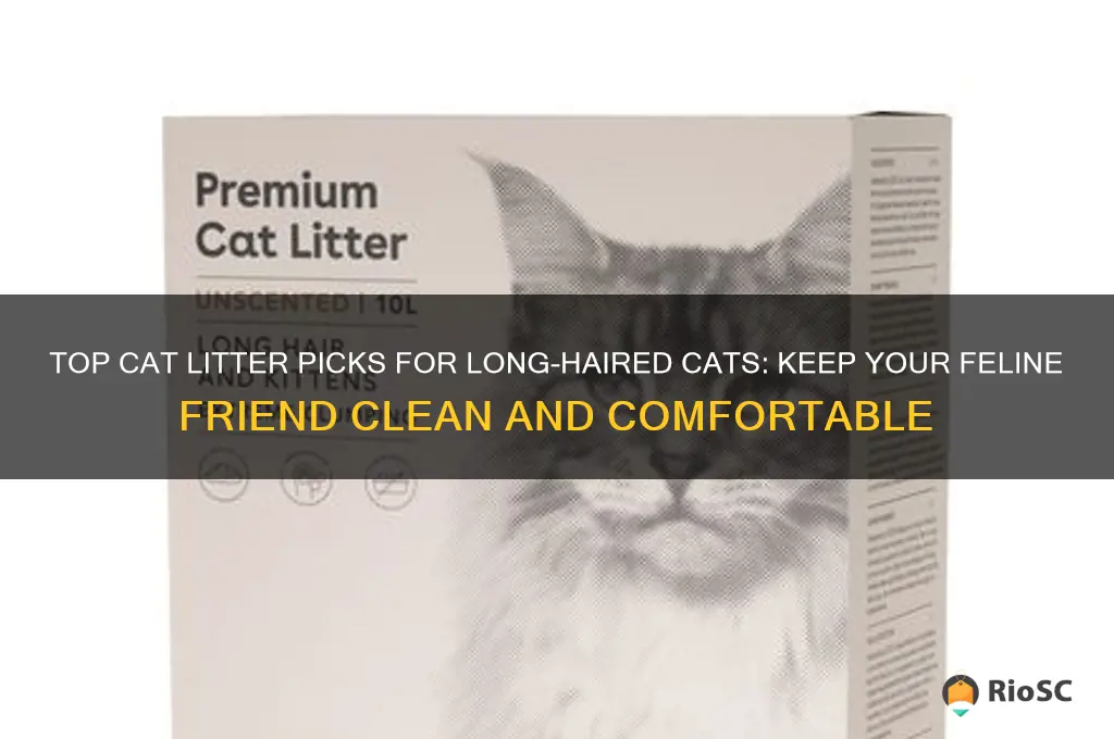 best cat litter for long haired cats