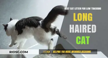 Top Low-Tracking Cat Litter Options for Long-Haired Cats: Keep Your Home Clean and Fur-Free