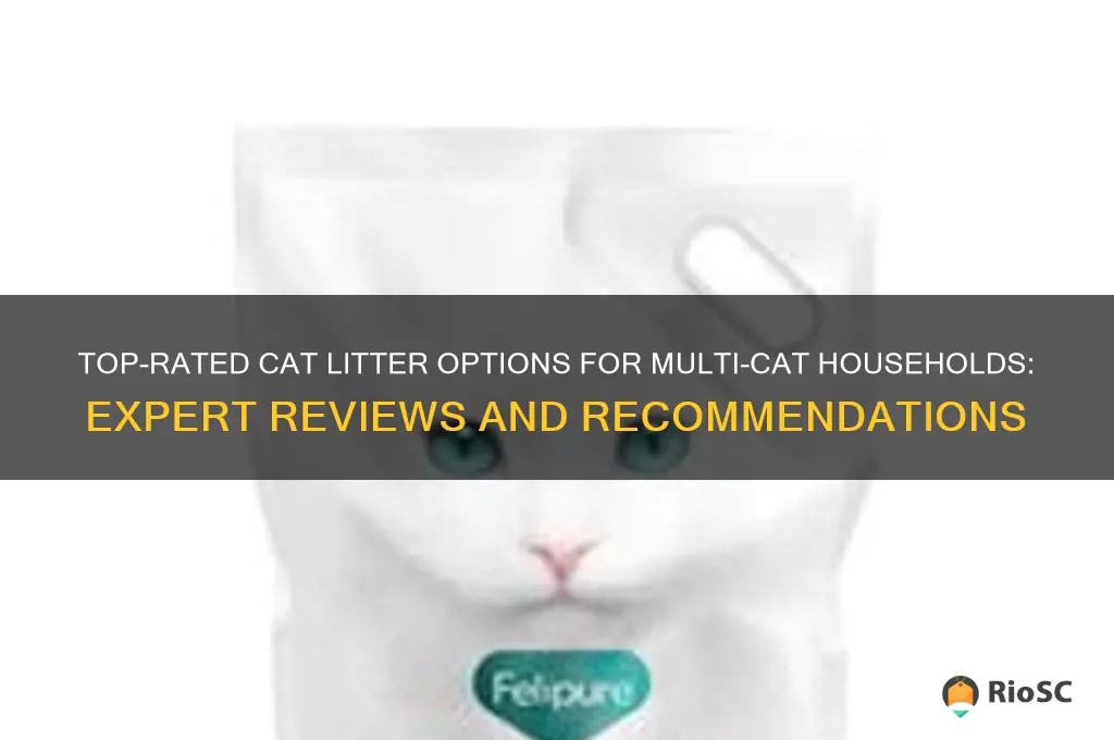 best cat litter for multiple cats reviews