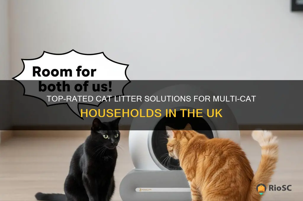 best cat litter for multiple cats uk